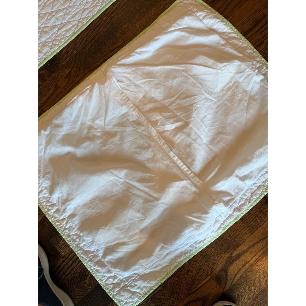 Twin Sized quilt, appliqué, and chenille with matching sham